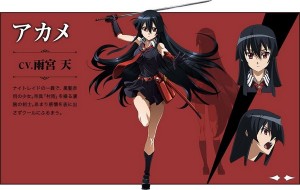 Akame ga Kill (4)