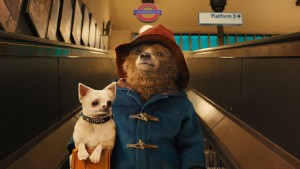 Paddington-(14)