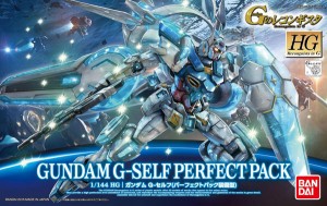 1144-HG-G-Self-(Perfect-Pack-Equipment-Type)-(1)