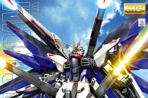 MG 1100 Freedom Gundam Cover