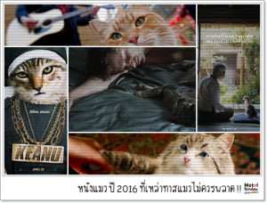 cats movie 01