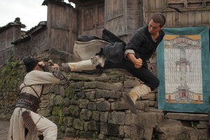 10 action movie with Donnie yen (8)