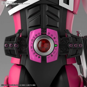 [ Figure-rise Standard ] Kamen Rider Decade  (8)