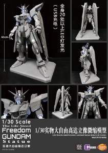 1-30 Freedom Gundam  (2)