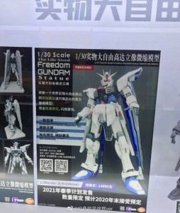 1-30 Freedom Gundam  (6)