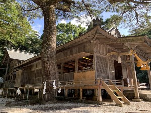 ghost-of-tsushima-fans-have-helped-raise-for-repairs-real-torii (8)