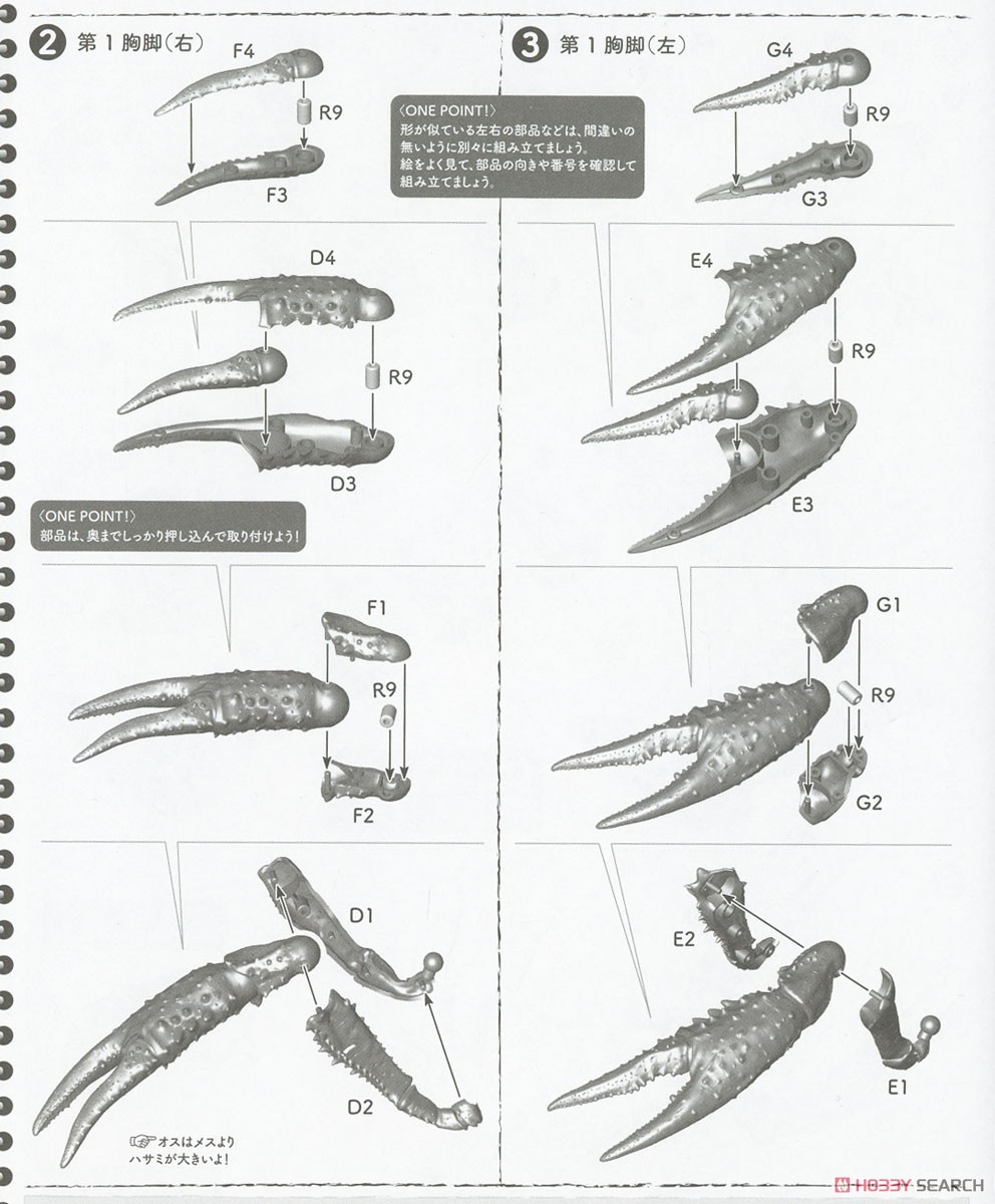 biology-edition-crayfish-evangelion-edition (4)