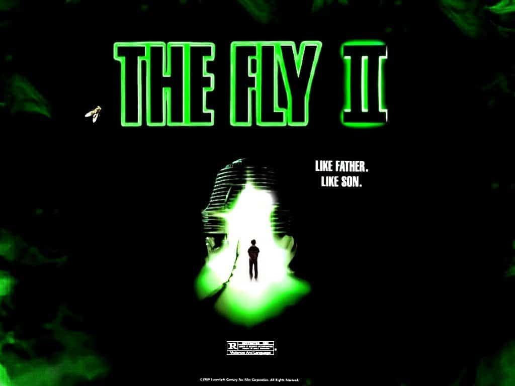The-Fly (3)
