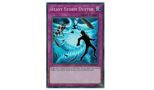 Heavy Storm Duster