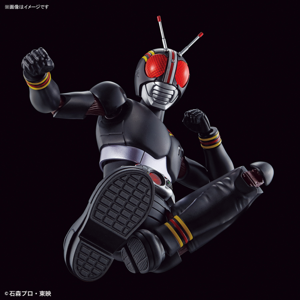 FIGURE-RISE STANDARD KAMEN RIDER BLACK  (11)