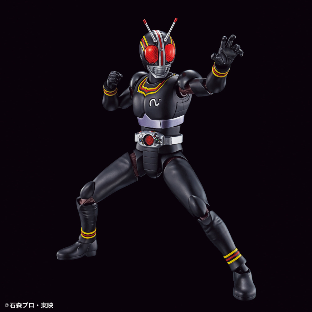 FIGURE-RISE STANDARD KAMEN RIDER BLACK  (3)