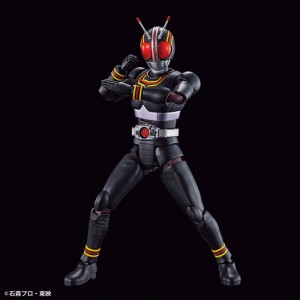 FIGURE-RISE STANDARD KAMEN RIDER BLACK  (4)