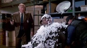 the-naked-gun (12)