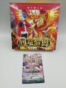 Cardfight!! Vanguard will+Dress  (D-BT06) (12)