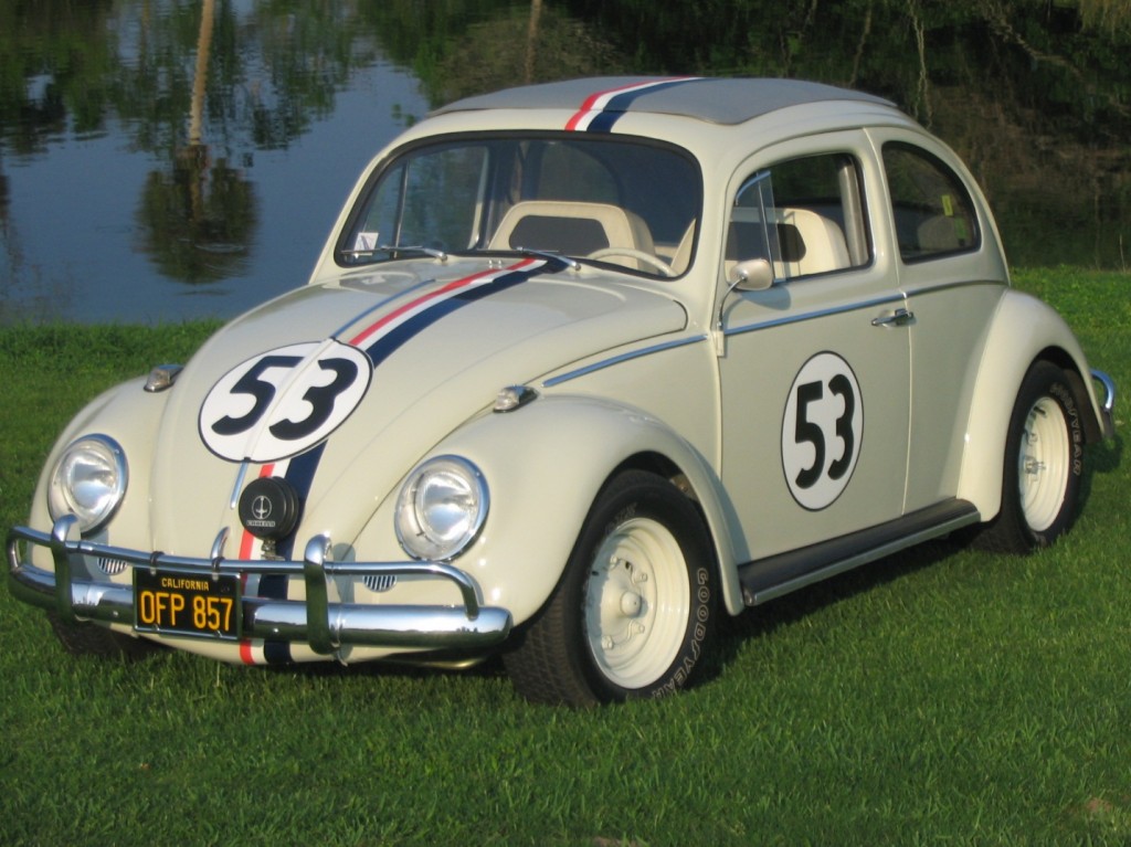 Volkswagen-Beetle (15)