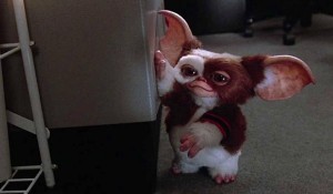 10-thing-about-gremlins (2)