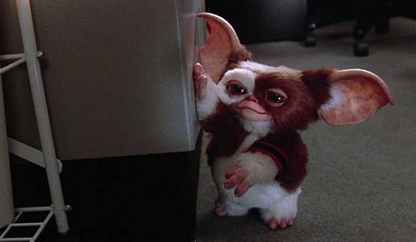 10-thing-about-gremlins (2)