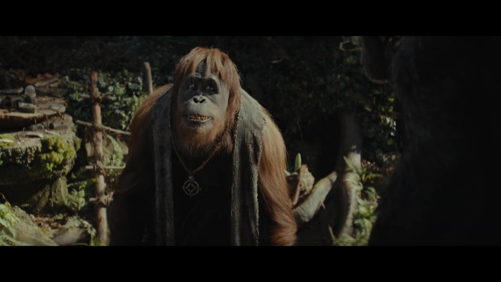 Kingdom of the Planet of the Apes  (5)