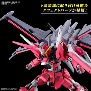 hgce infinite justice gundam type ii (2)