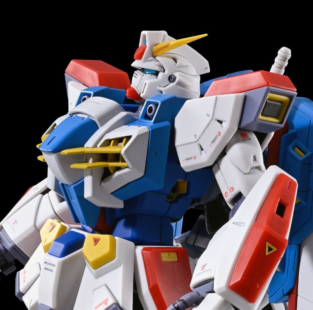 p-bandai-mg-gundam-f90-n-type (5)