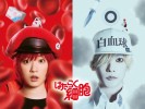 cells-at-work-live-action-movie (1)