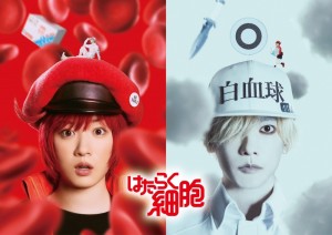 cells-at-work-live-action-movie (1)