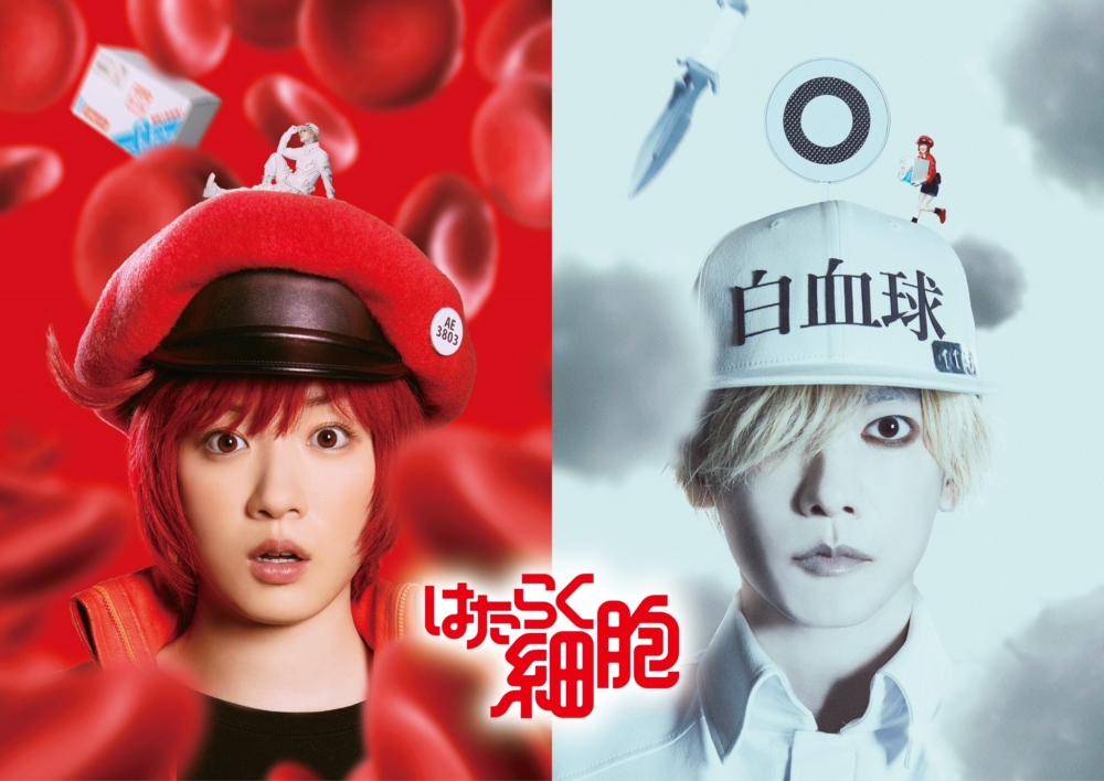 cells-at-work-live-action-movie (1)