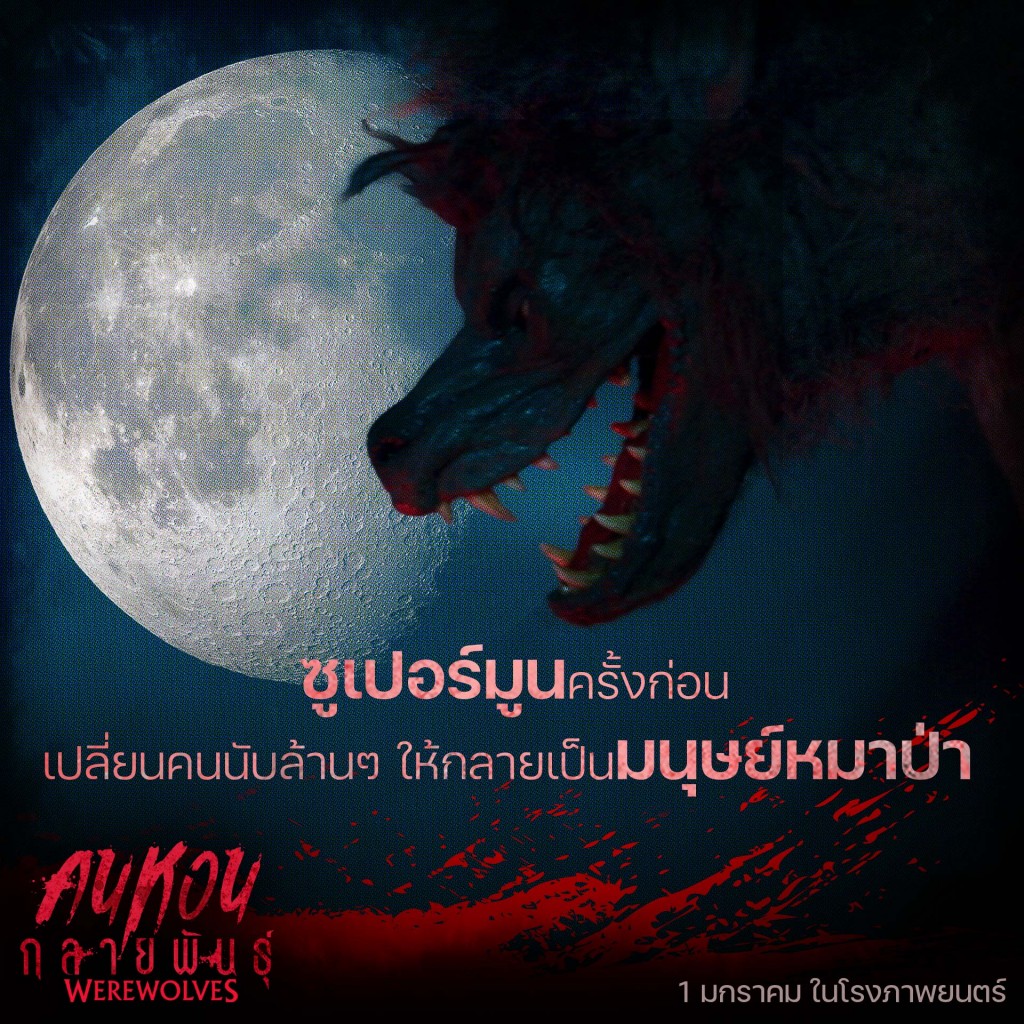 INFO-(Werewolf)01