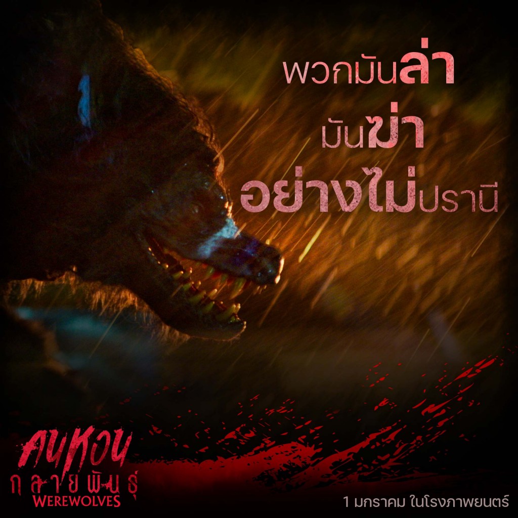 INFO-(Werewolf)02