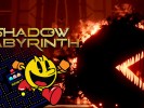 Shadow Labyrinth   (11)