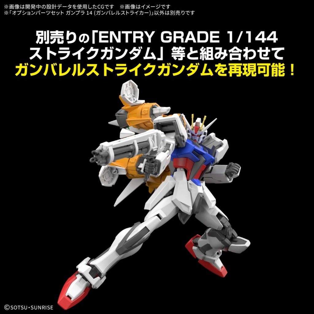 gunbarrel striker HG (4)